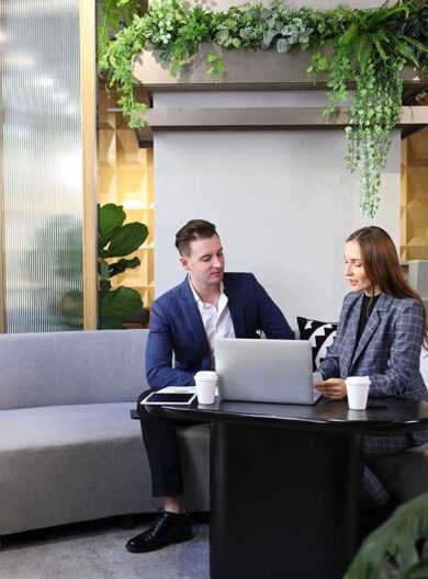 Caucasian business people is working on new strategic planning for next year using laptop while working in green eco friendly modern working space surrounded by air purifying house plant
